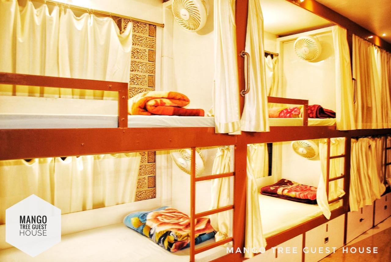 Mango Tree Guest House Rishikesh Bagian luar foto